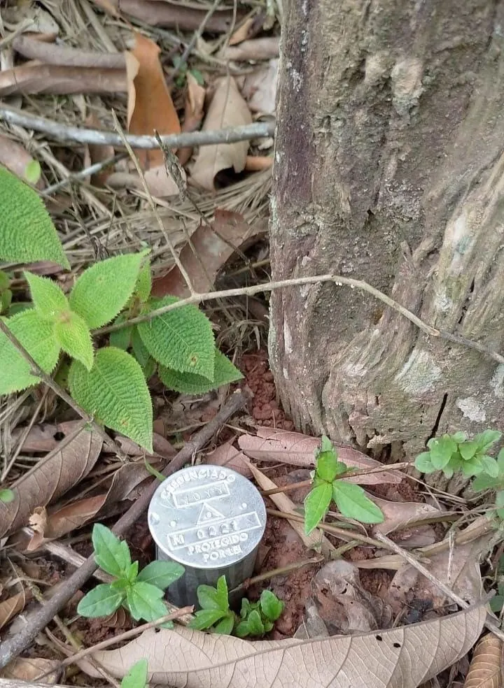 Fazenda à venda de 3.025 ha em Sete Barras, SP, Brasil