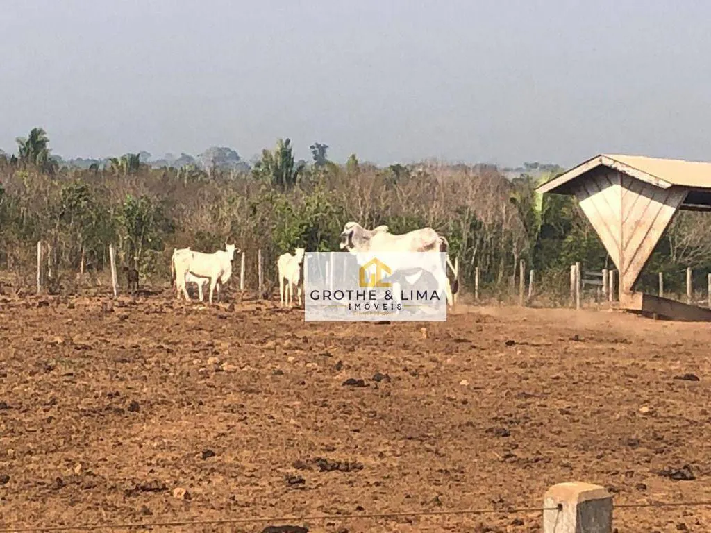 Farm for sale of 232,279 acres in Rondolândia, MT, Brazil