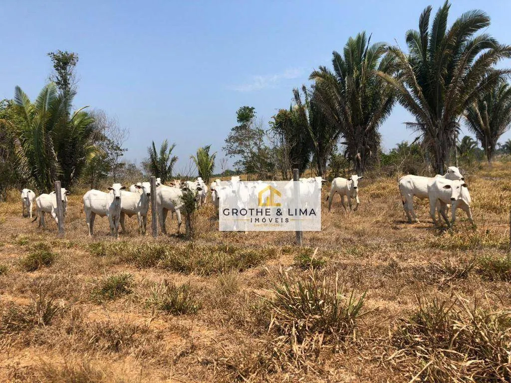 Farm for sale of 232,279 acres in Rondolândia, MT, Brazil