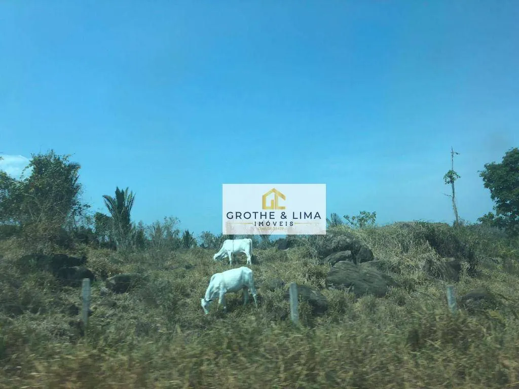 Farm for sale of 232,279 acres in Rondolândia, MT, Brazil