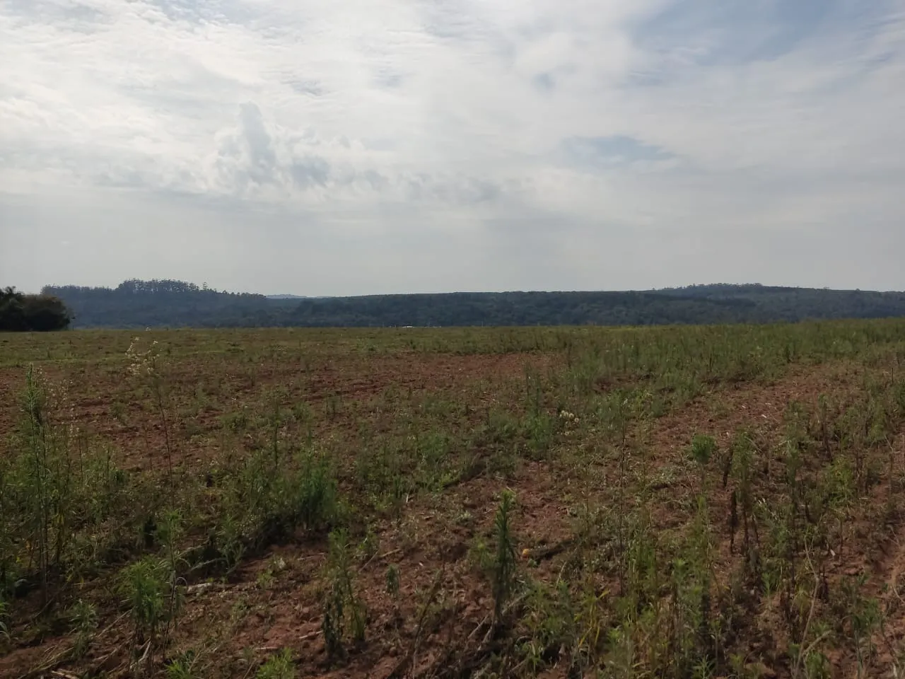 Fazenda à venda de 128 ha em Itapetininga, SP, Brasil