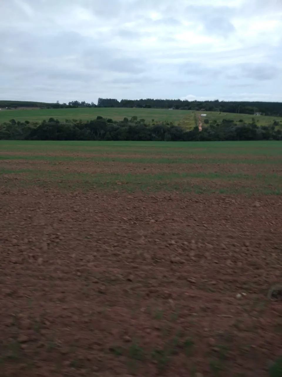 Fazenda à venda de 128 ha em Itapetininga, SP, Brasil