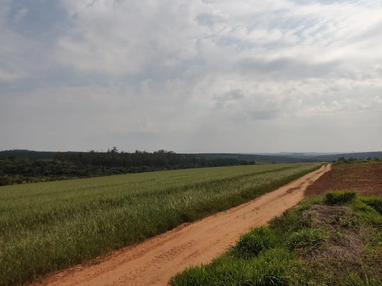 Fazenda à venda de 128 ha em Itapetininga, SP, Brasil