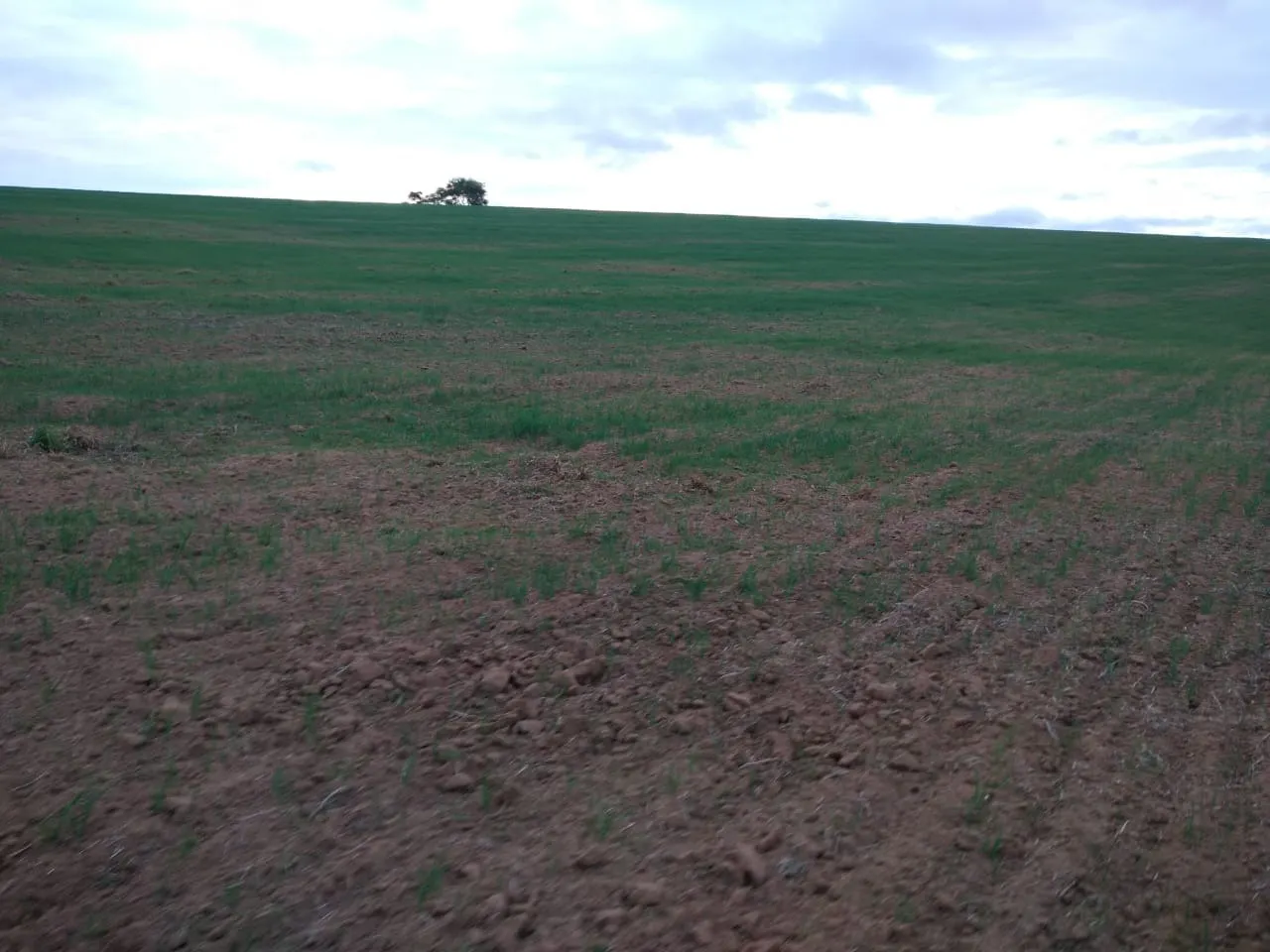Fazenda à venda de 128 ha em Itapetininga, SP, Brasil