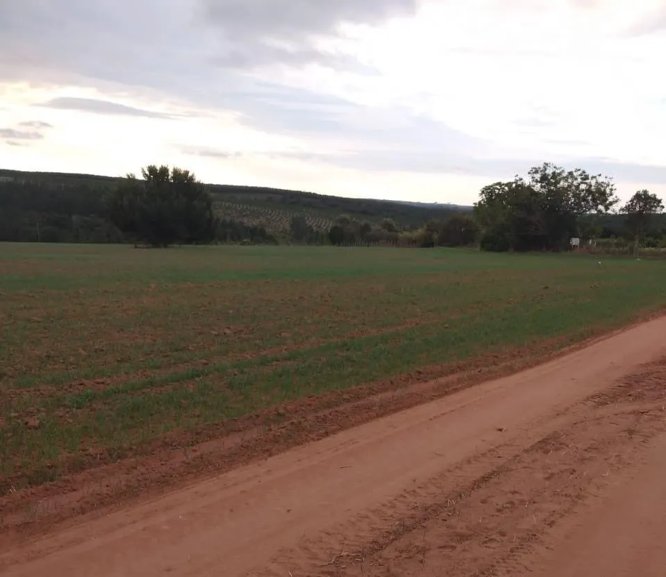Fazenda à venda de 128 ha em Itapetininga, SP, Brasil