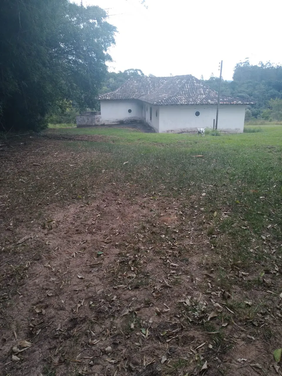 Fazenda à venda de 128 ha em Itapetininga, SP, Brasil