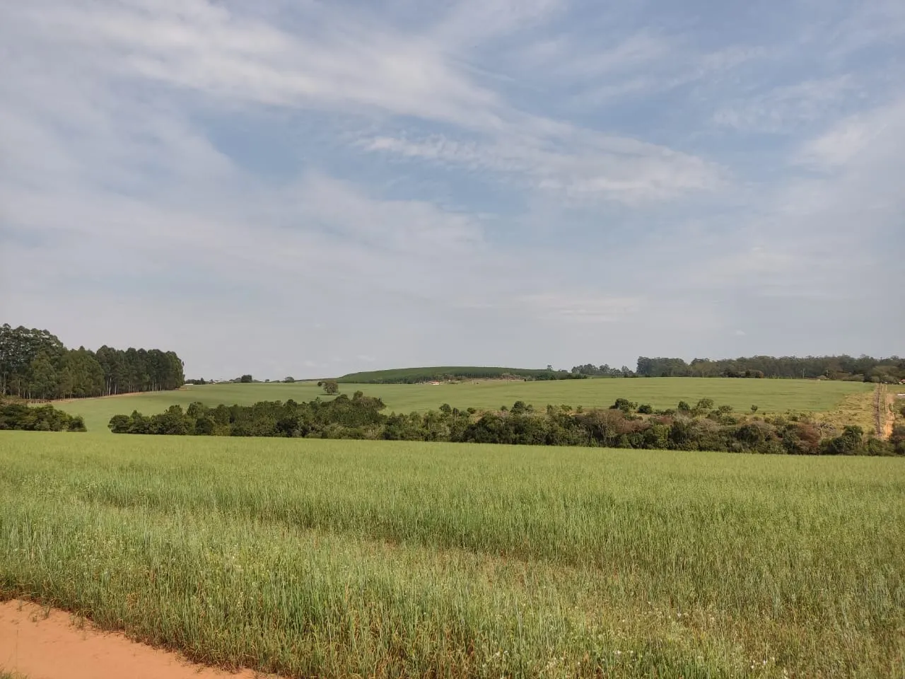 Fazenda à venda de 128 ha em Itapetininga, SP, Brasil