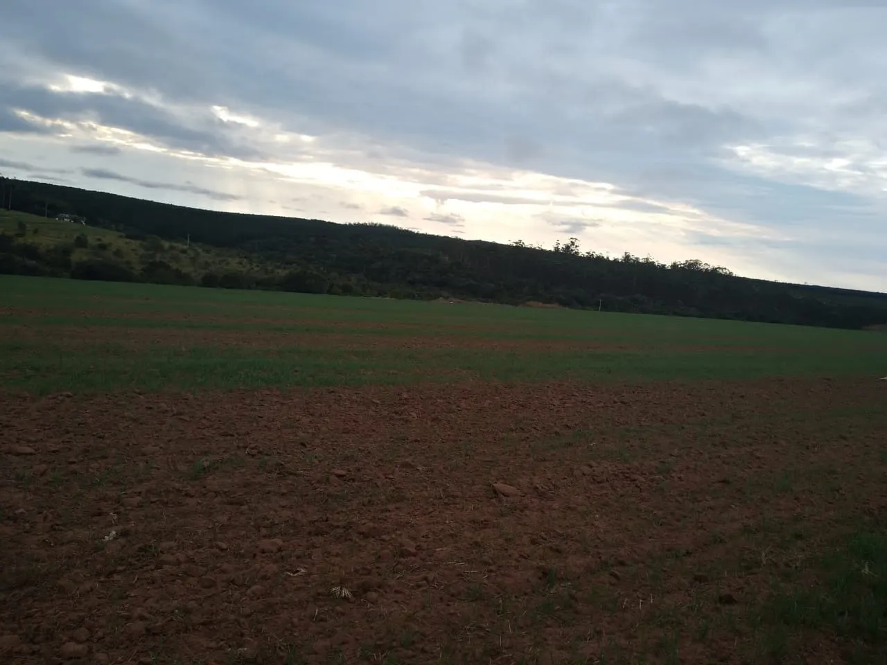 Fazenda à venda de 128 ha em Itapetininga, SP, Brasil