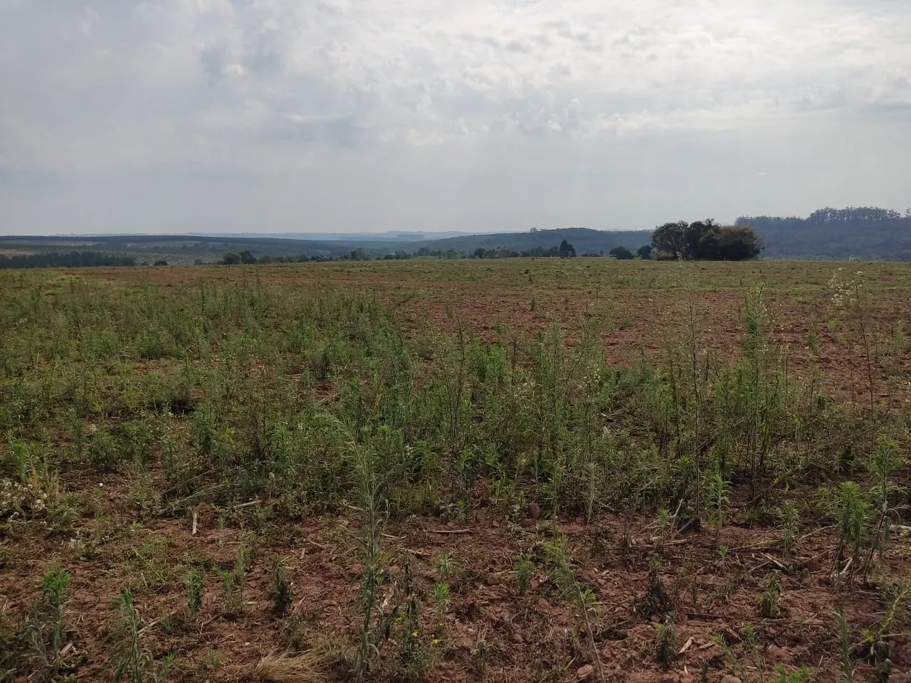 Fazenda à venda de 128 ha em Itapetininga, SP, Brasil