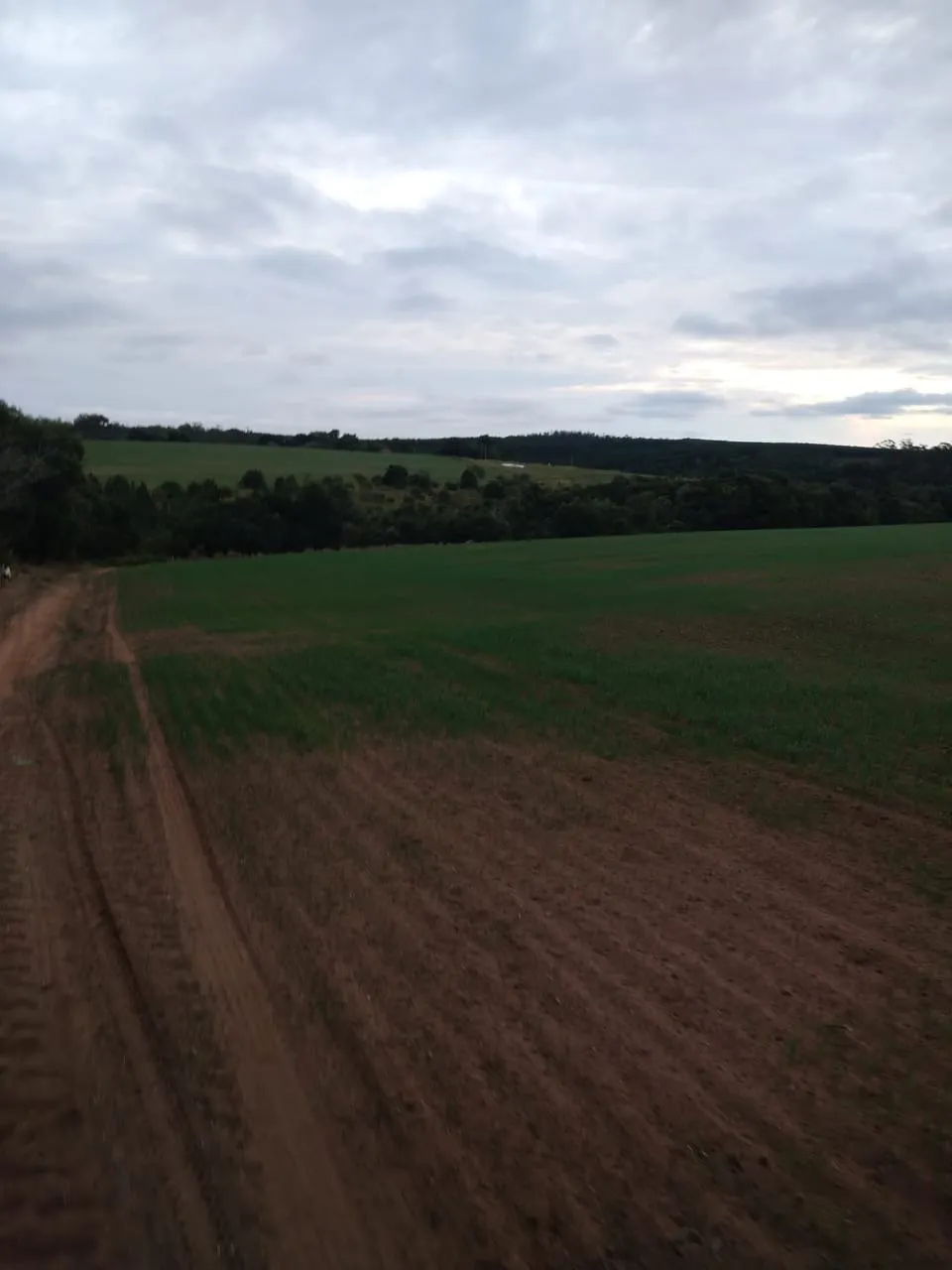 Fazenda à venda de 128 ha em Itapetininga, SP, Brasil