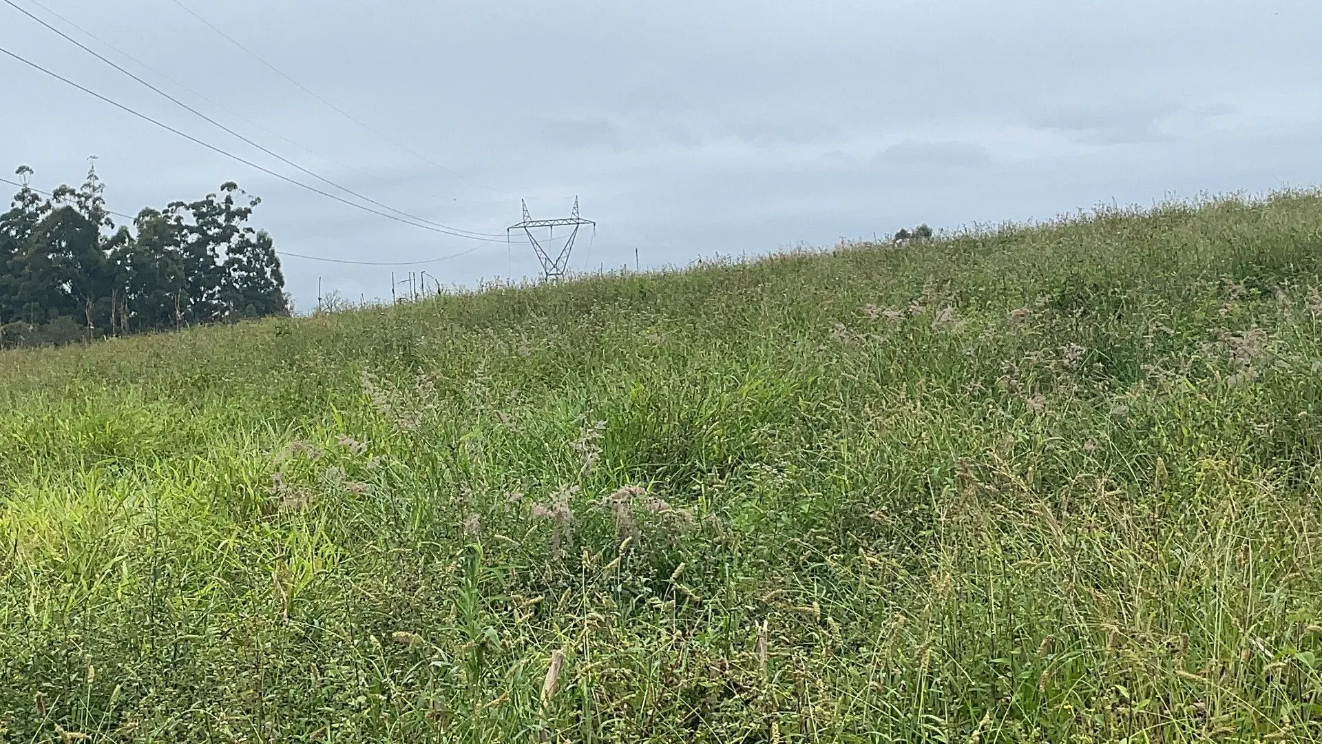 Chácara à venda de 3 ha em Gravataí, RS, Brasil
