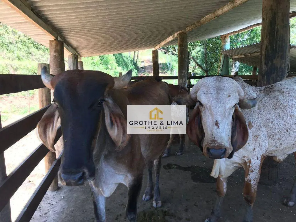 Country home for sale of 30 acres in Jacareí, SP, Brazil