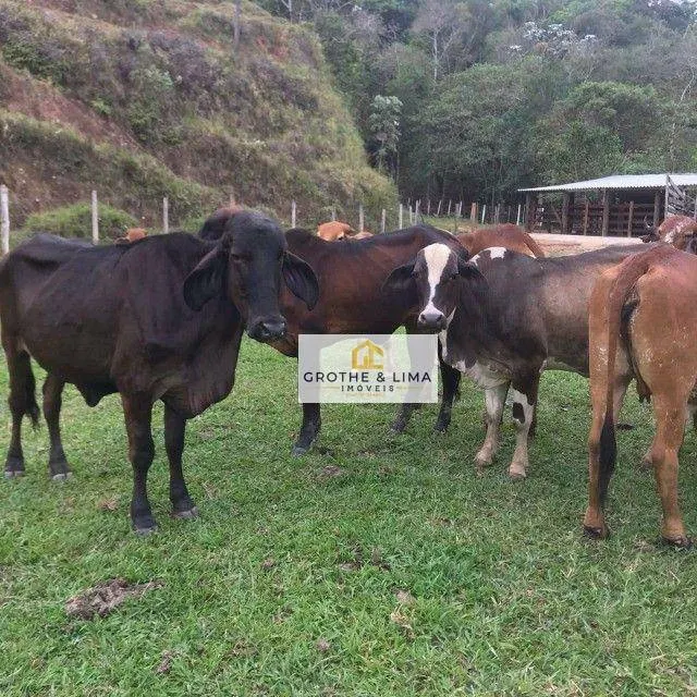 Country home for sale of 30 acres in Jacareí, SP, Brazil
