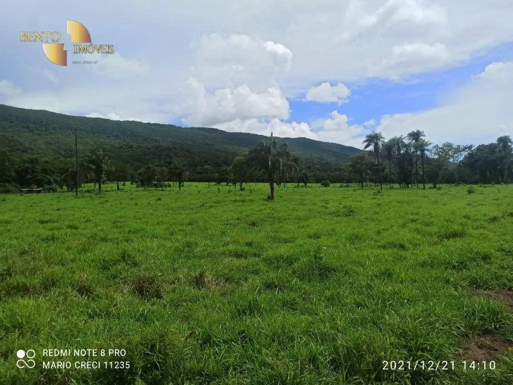 Fazenda à venda de 1.240 ha em Barra do Bugres, MT, Brasil