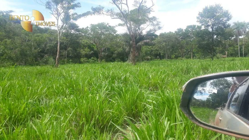 Fazenda à venda de 1.240 ha em Barra do Bugres, MT, Brasil