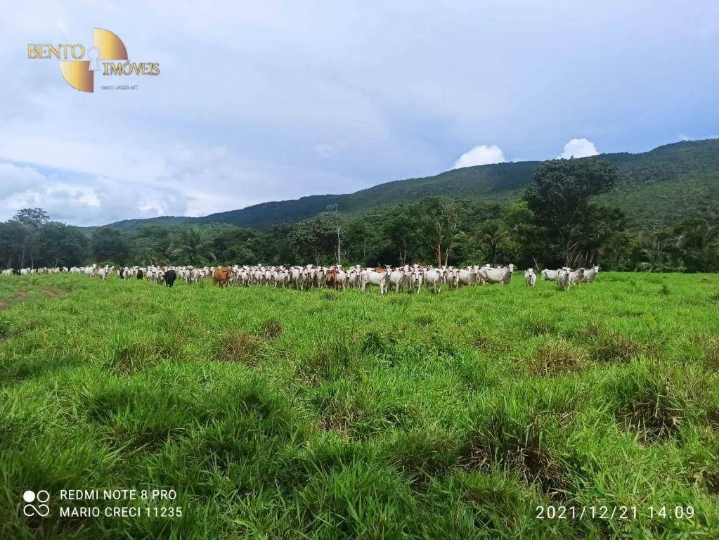 Fazenda à venda de 1.240 ha em Barra do Bugres, MT, Brasil