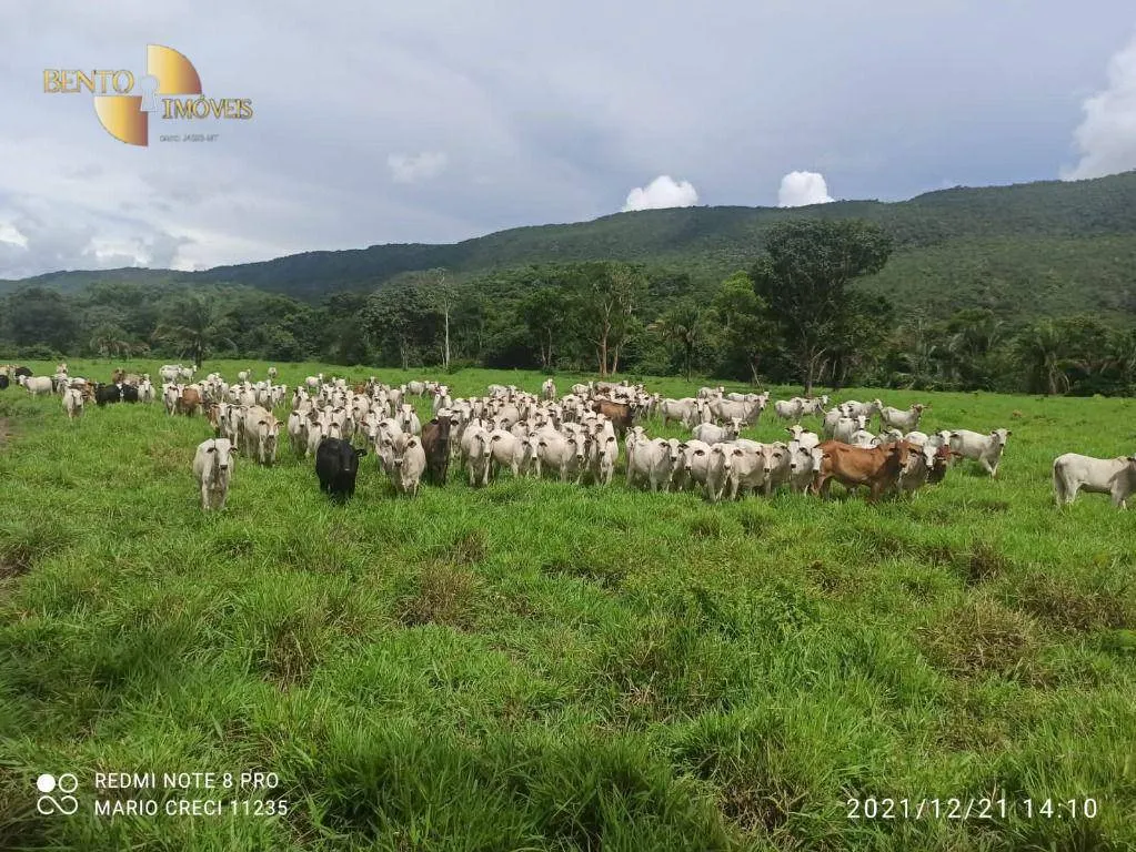 Fazenda à venda de 1.240 ha em Barra do Bugres, MT, Brasil