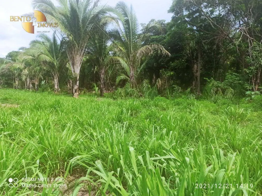 Fazenda à venda de 1.240 ha em Barra do Bugres, MT, Brasil