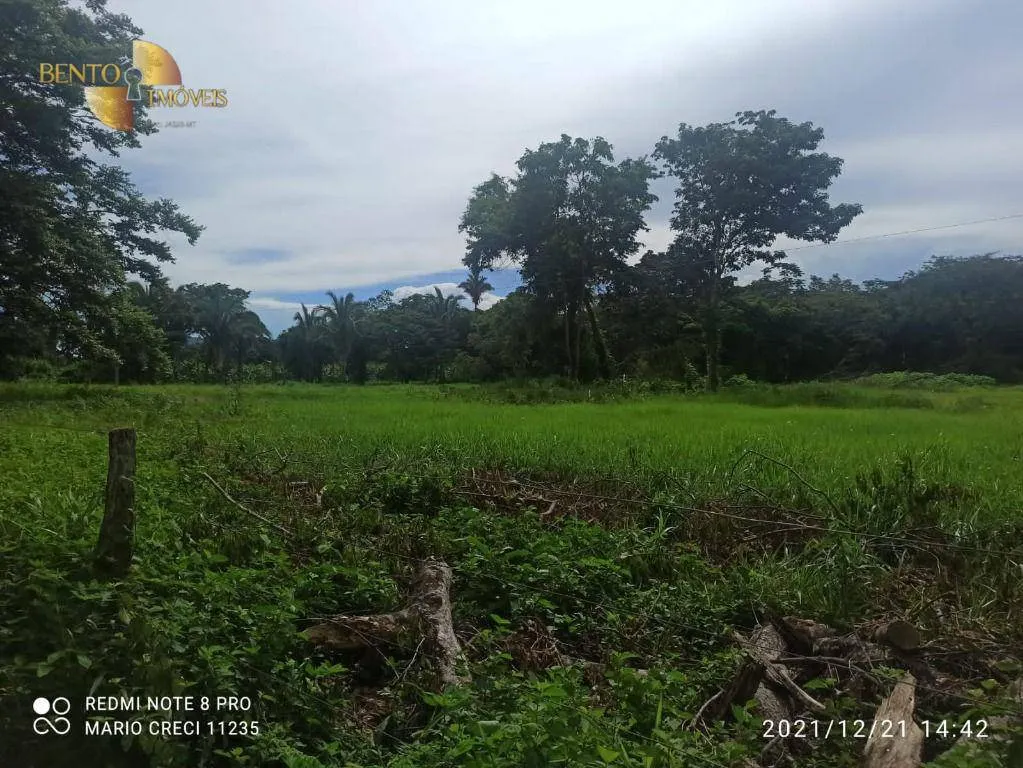 Fazenda à venda de 1.240 ha em Barra do Bugres, MT, Brasil