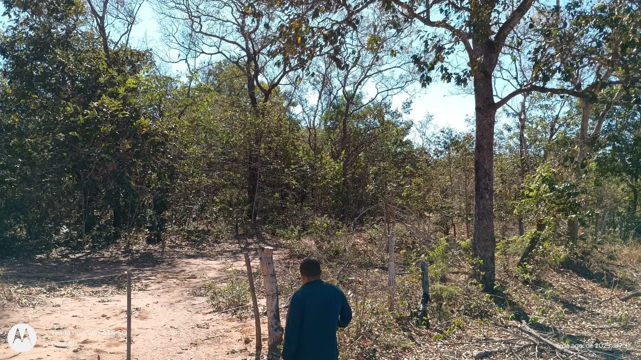 Fazenda à venda de 392 ha em Guiratinga, MT, Brasil