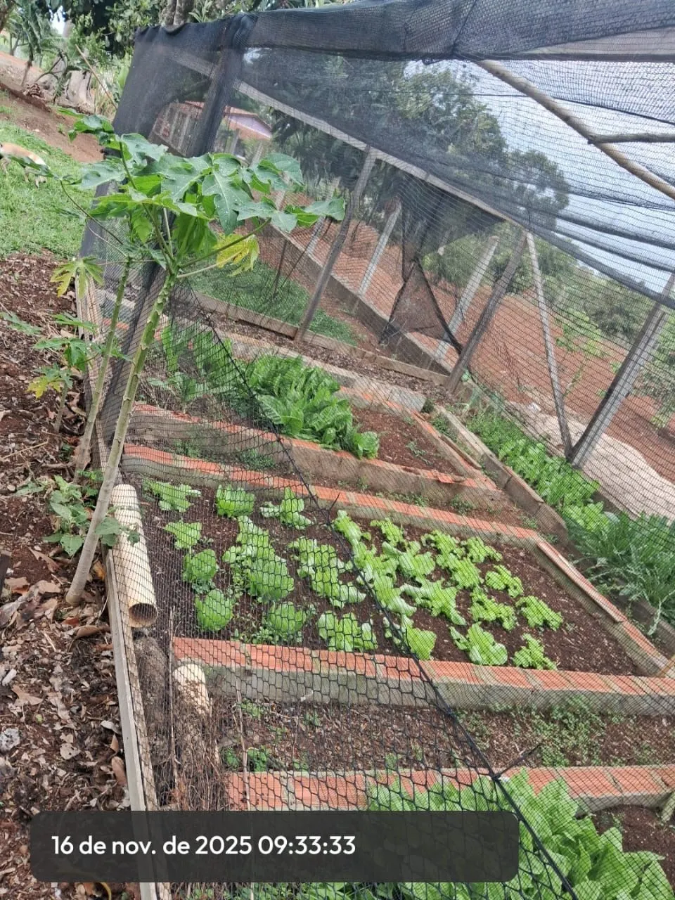Chácara à venda de 3.000 m² em Pilar do Sul, SP, Brasil