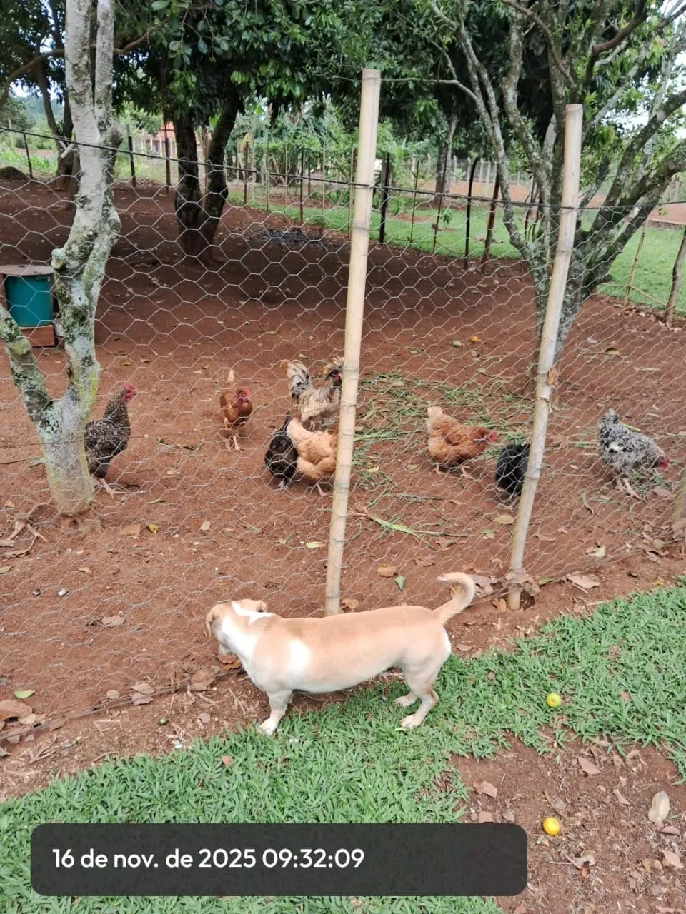 Chácara à venda de 3.000 m² em Pilar do Sul, SP, Brasil