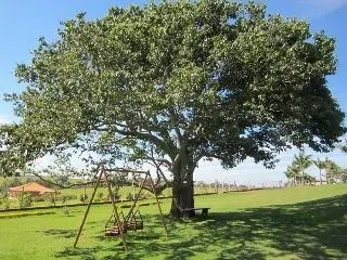 Fazenda à venda de 429 ha em Bauru, SP, Brasil