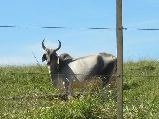 Fazenda à venda de 429 ha em Bauru, SP, Brasil