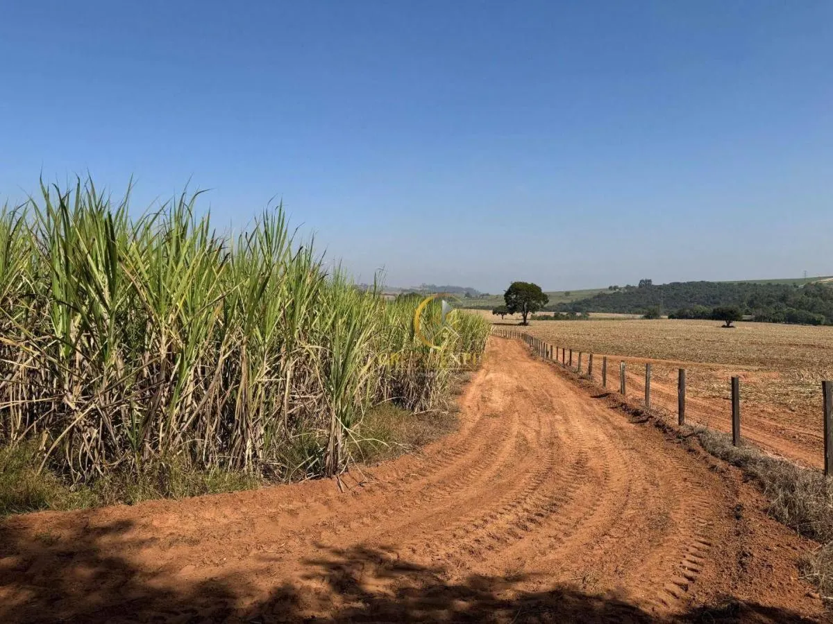 Fazenda à venda de 462 ha em Santa Rita do Passa Quatro, SP, Brasil
