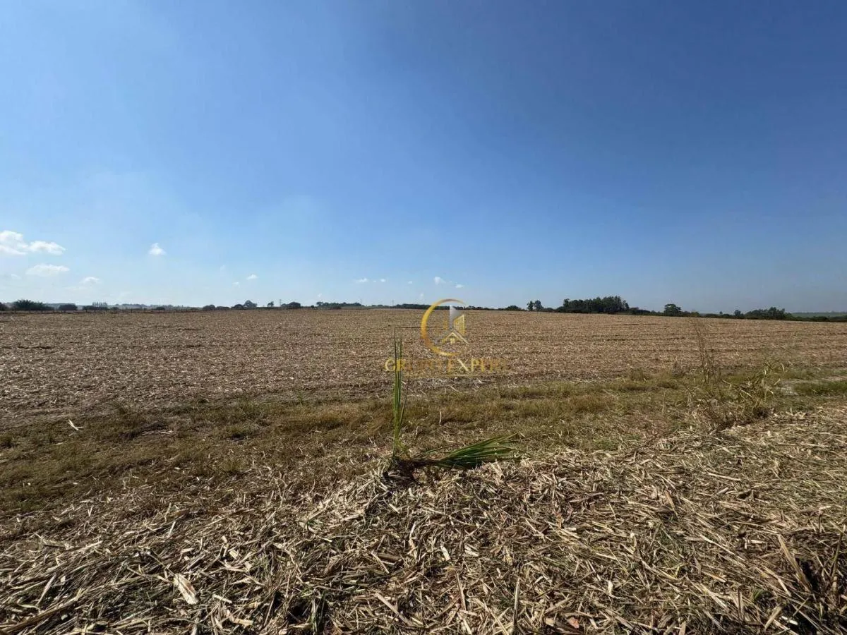 Fazenda à venda de 462 ha em Santa Rita do Passa Quatro, SP, Brasil