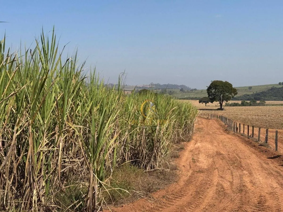 Fazenda à venda de 462 ha em Santa Rita do Passa Quatro, SP, Brasil