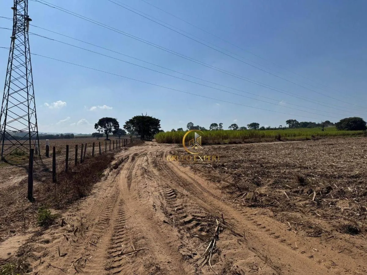 Fazenda à venda de 462 ha em Santa Rita do Passa Quatro, SP, Brasil