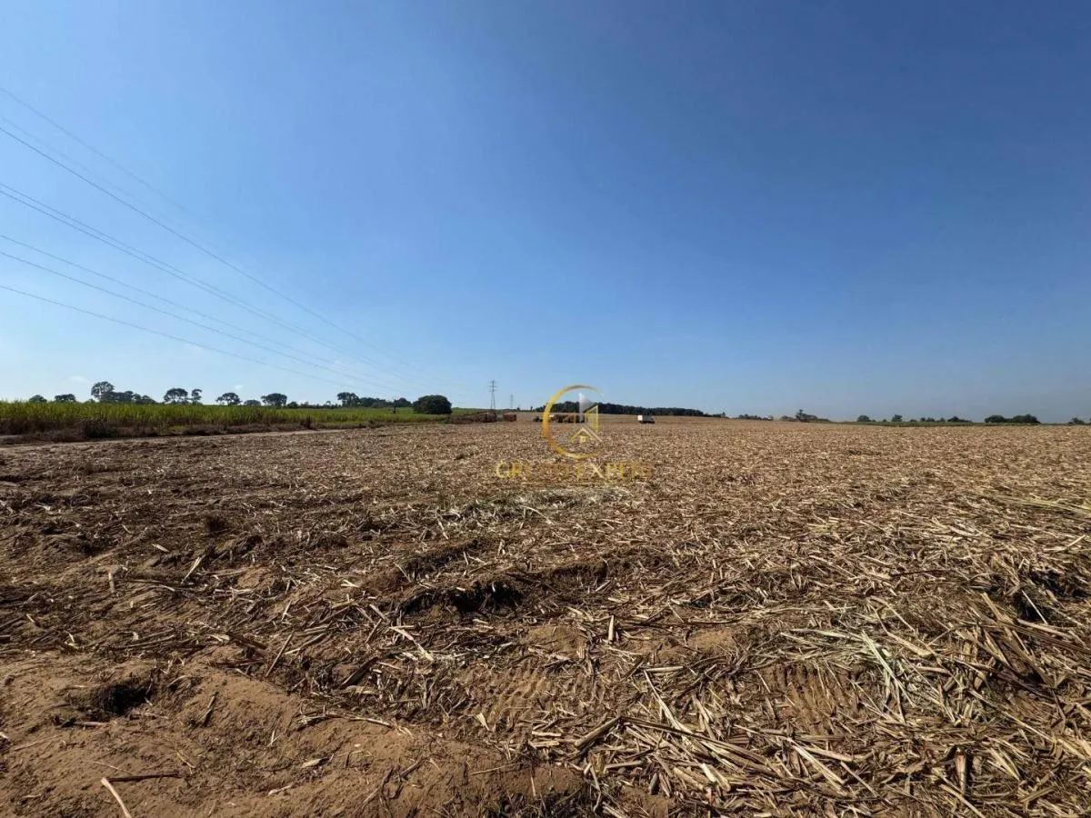 Fazenda à venda de 462 ha em Santa Rita do Passa Quatro, SP, Brasil