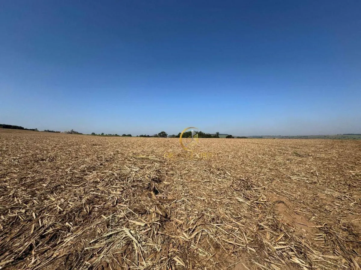 Fazenda à venda de 462 ha em Santa Rita do Passa Quatro, SP, Brasil