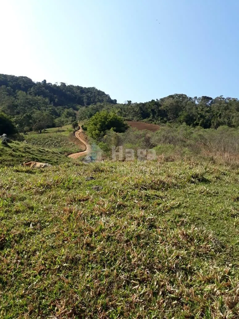Terreno à venda de 35 ha em Angelina, SC, Brasil