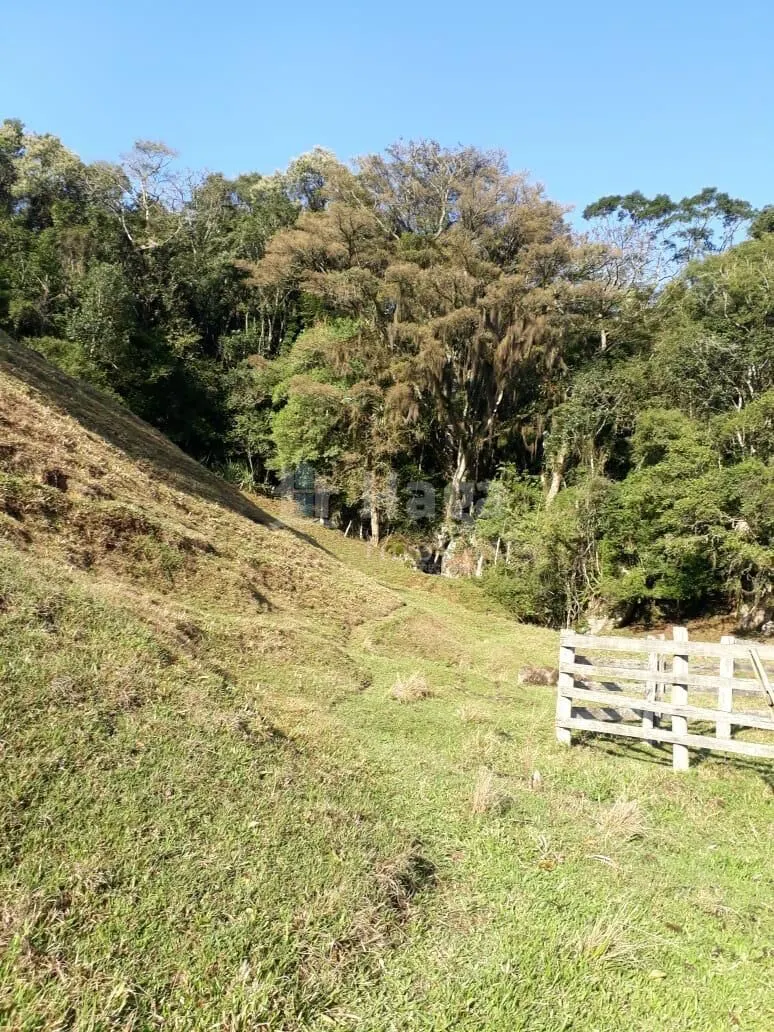 Terreno à venda de 35 ha em Angelina, SC, Brasil