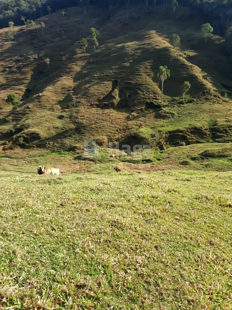 Terreno à venda de 35 ha em Angelina, SC, Brasil