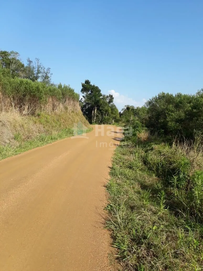 Terreno à venda de 35 ha em Angelina, SC, Brasil