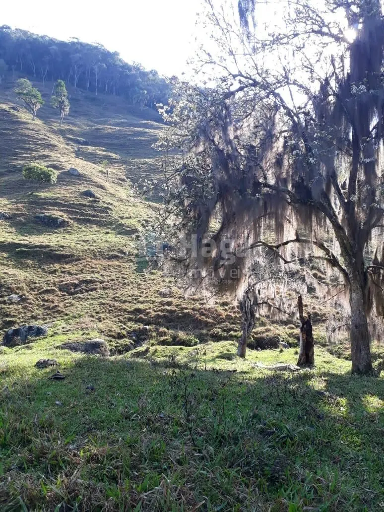 Terreno à venda de 35 ha em Angelina, SC, Brasil