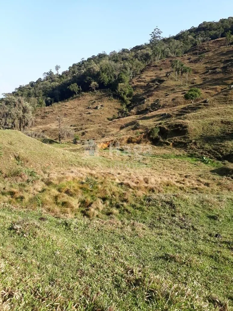 Terreno à venda de 35 ha em Angelina, SC, Brasil