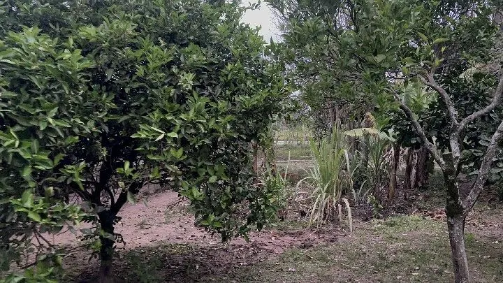 Country home for sale of 1 acres in Santo Antônio da Patrulha, RS, Brazil