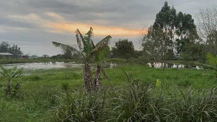 Country home for sale of 1 acres in Santo Antônio da Patrulha, RS, Brazil
