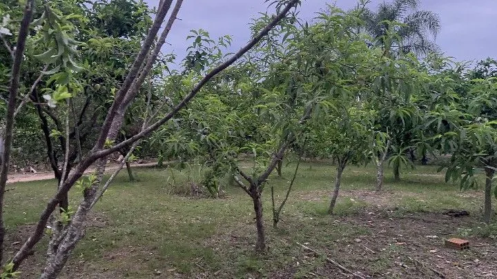 Country home for sale of 1 acres in Santo Antônio da Patrulha, RS, Brazil