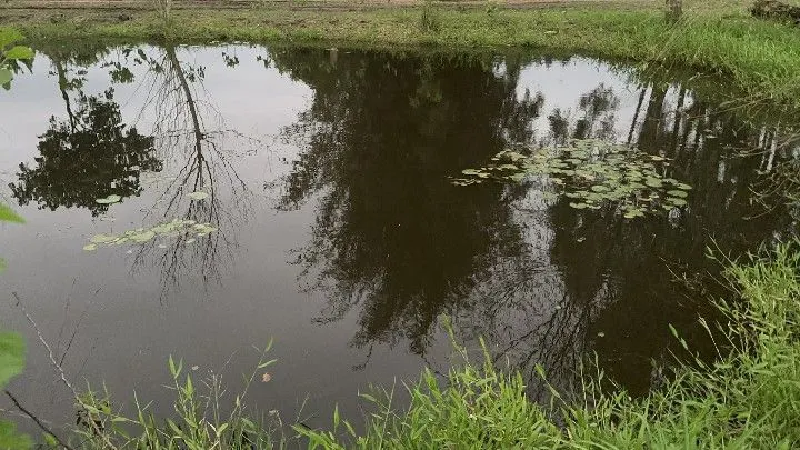 Country home for sale of 1 acres in Santo Antônio da Patrulha, RS, Brazil