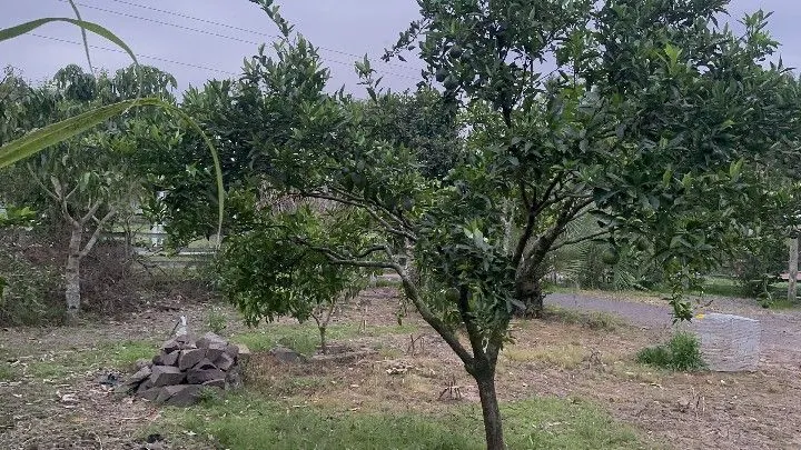 Country home for sale of 1 acres in Santo Antônio da Patrulha, RS, Brazil