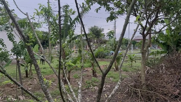Country home for sale of 1 acres in Santo Antônio da Patrulha, RS, Brazil