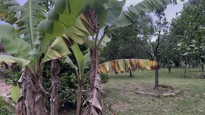 Country home for sale of 1 acres in Santo Antônio da Patrulha, RS, Brazil