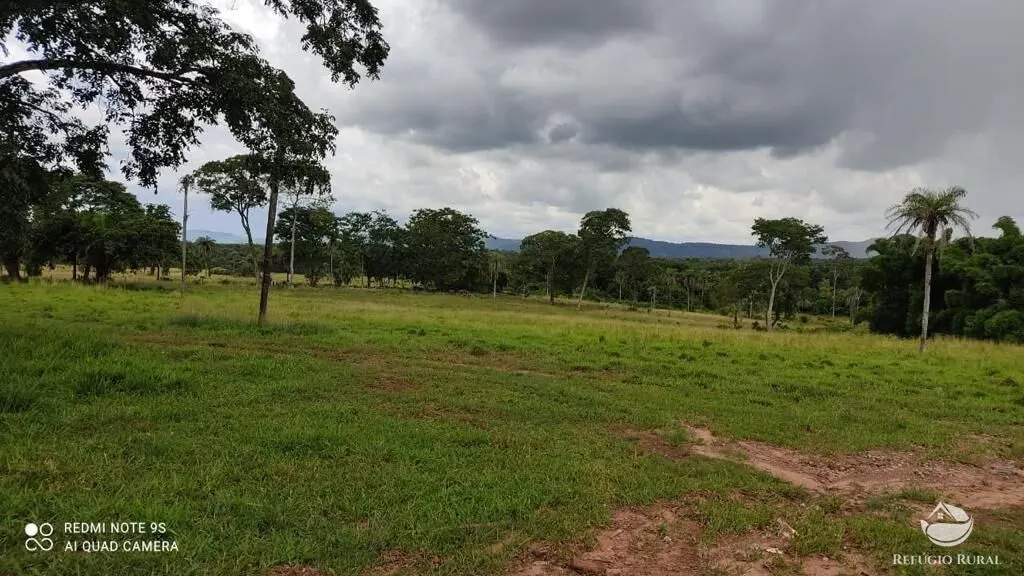 Fazenda à venda de 8.566 ha em Bandeirantes do Tocantins, TO, Brasil