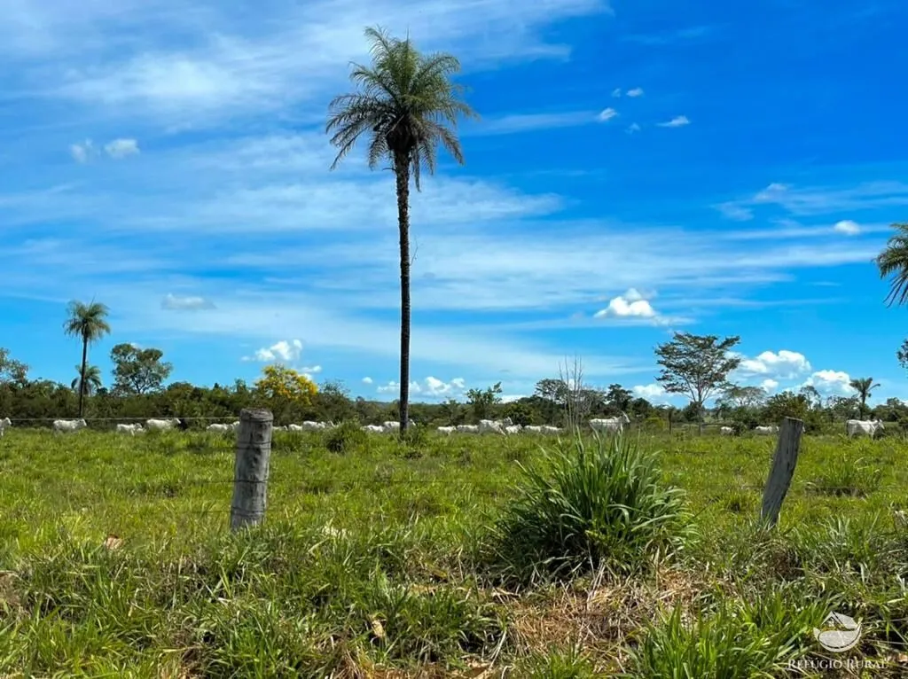 Fazenda à venda de 8.566 ha em Bandeirantes do Tocantins, TO, Brasil