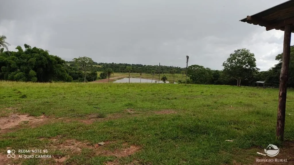 Fazenda à venda de 8.566 ha em Bandeirantes do Tocantins, TO, Brasil